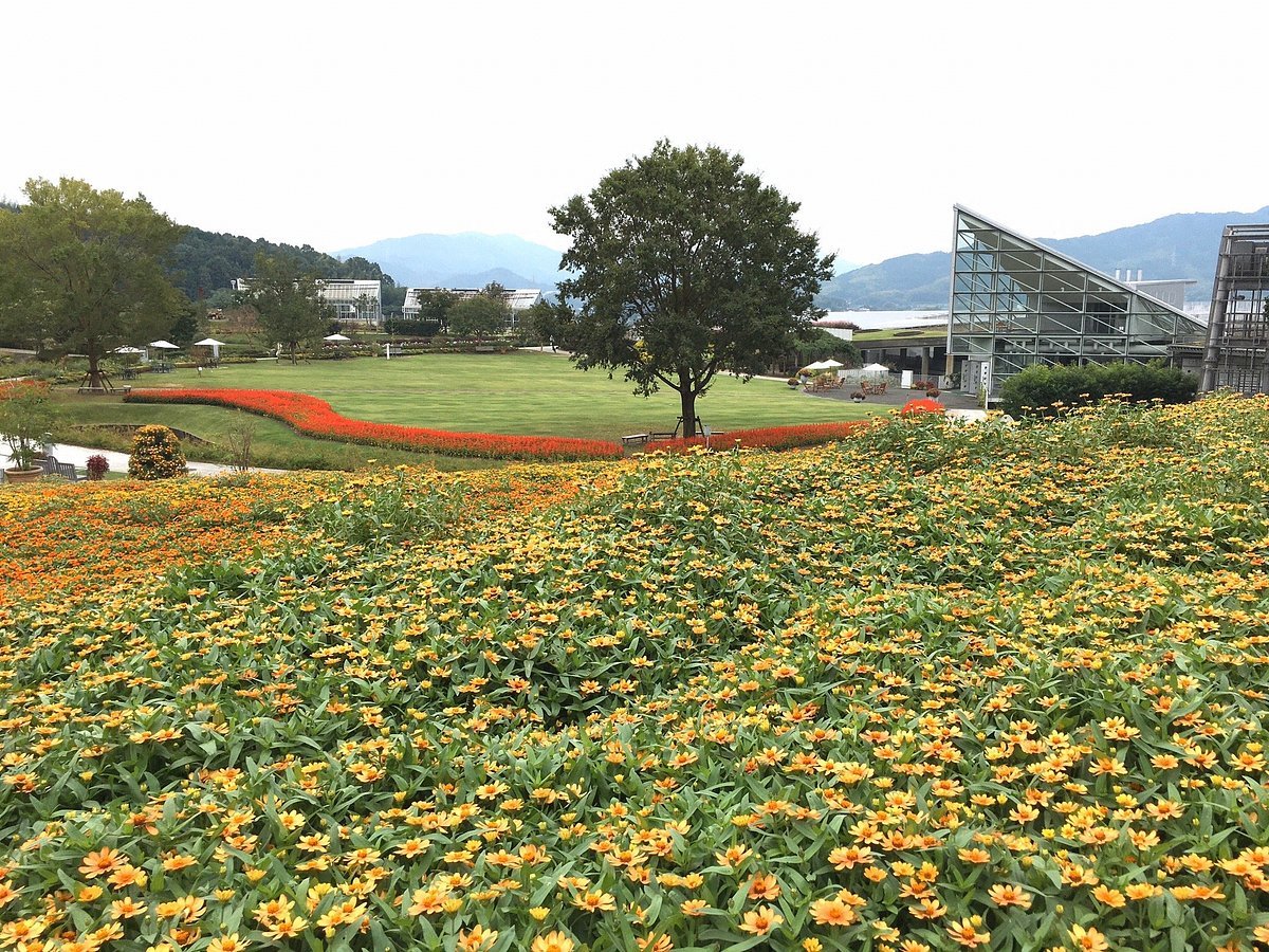 🌸 야마구치 플라워 랜드 이미지 15